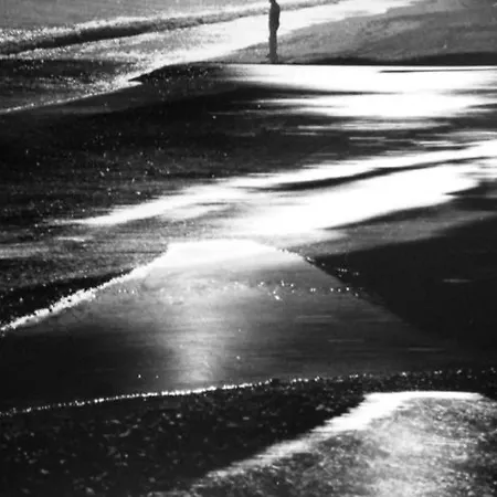 Appartement Velvet *