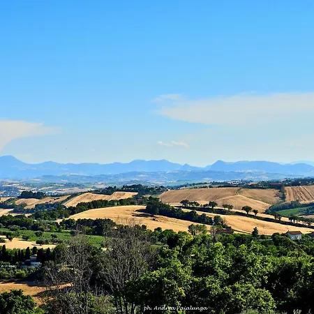Velvet Appartement *