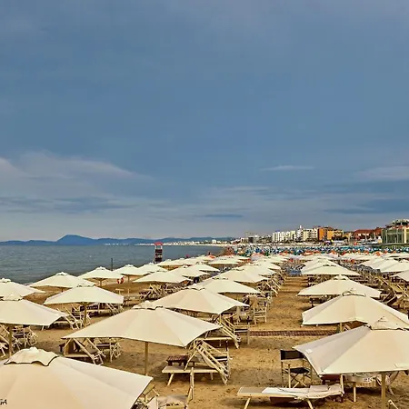 Velvet * Senigallia