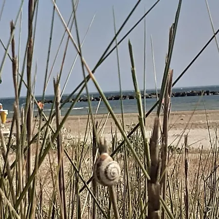 Lejlighed Velvet Senigallia